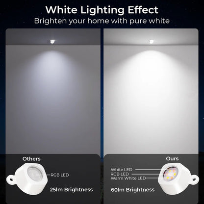 Smart Permanent Outdoor Lights Pro